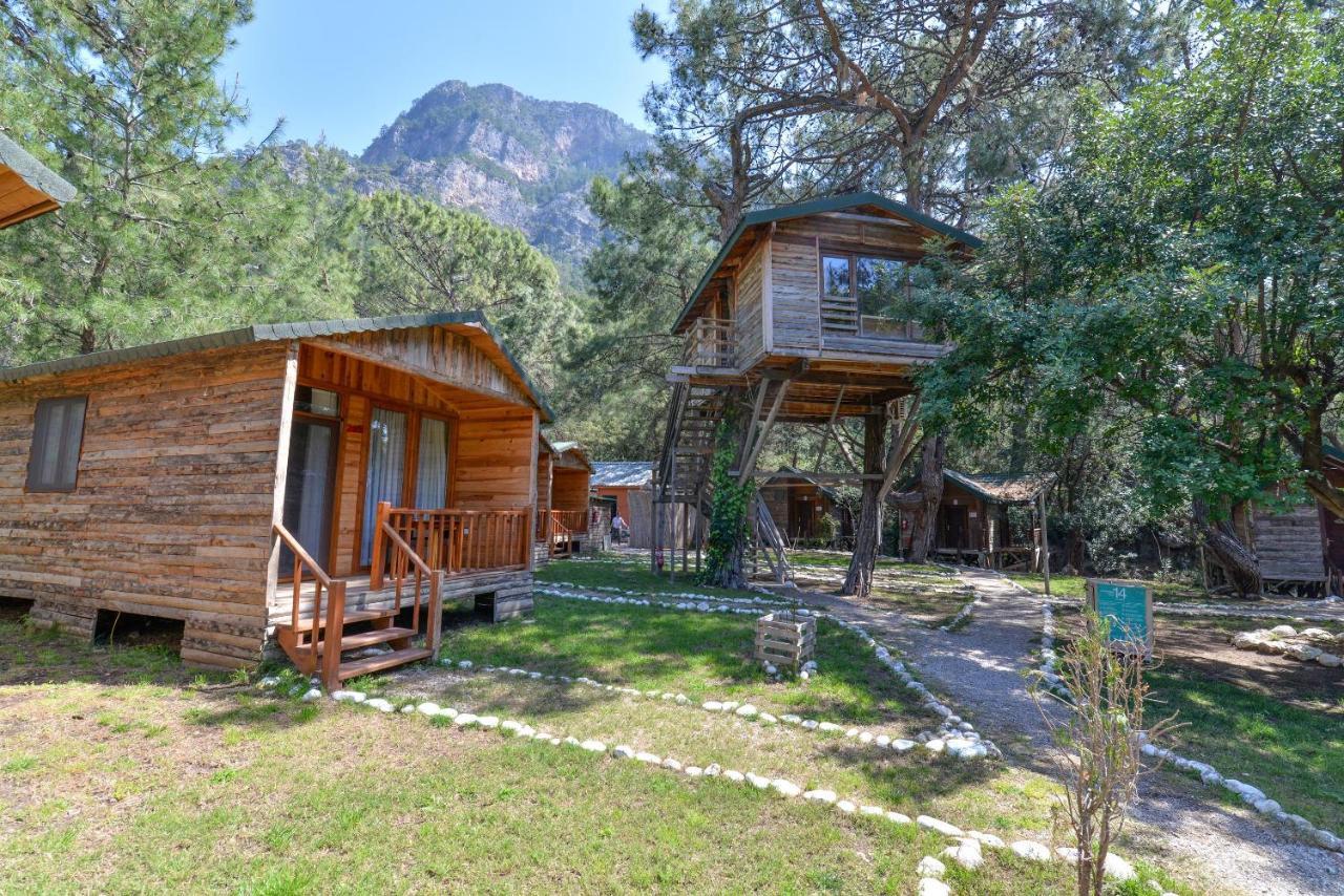Sea Valley Lodge Faralya Exterior photo