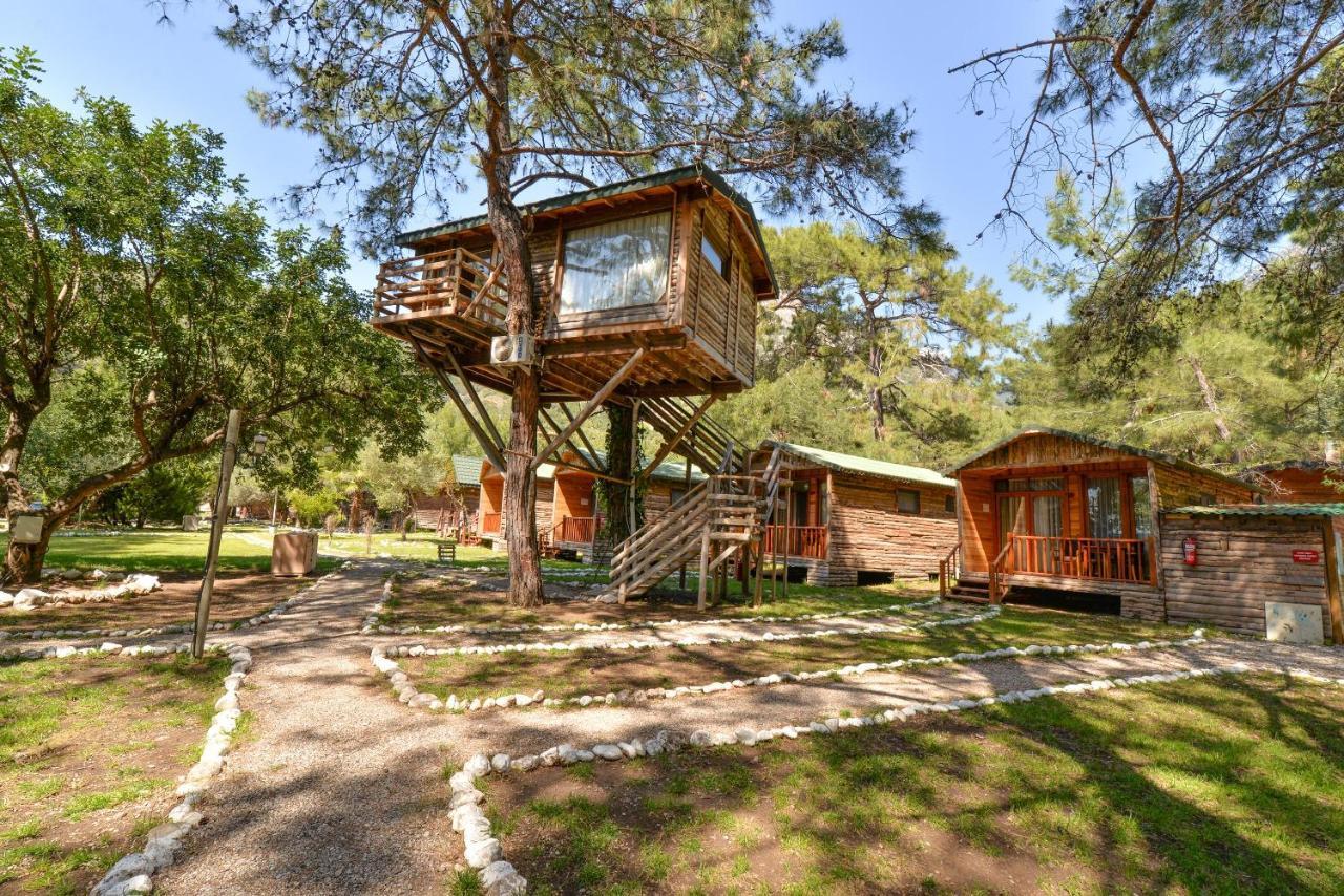 Sea Valley Lodge Faralya Exterior photo